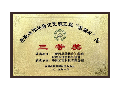 云浮荣获2025“徽园杯”奖三等奖